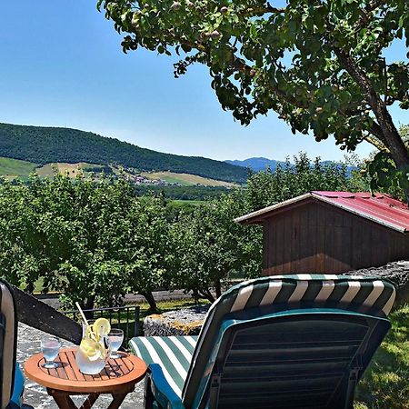 Casa Rural Pedronea Eltso エクステリア 写真